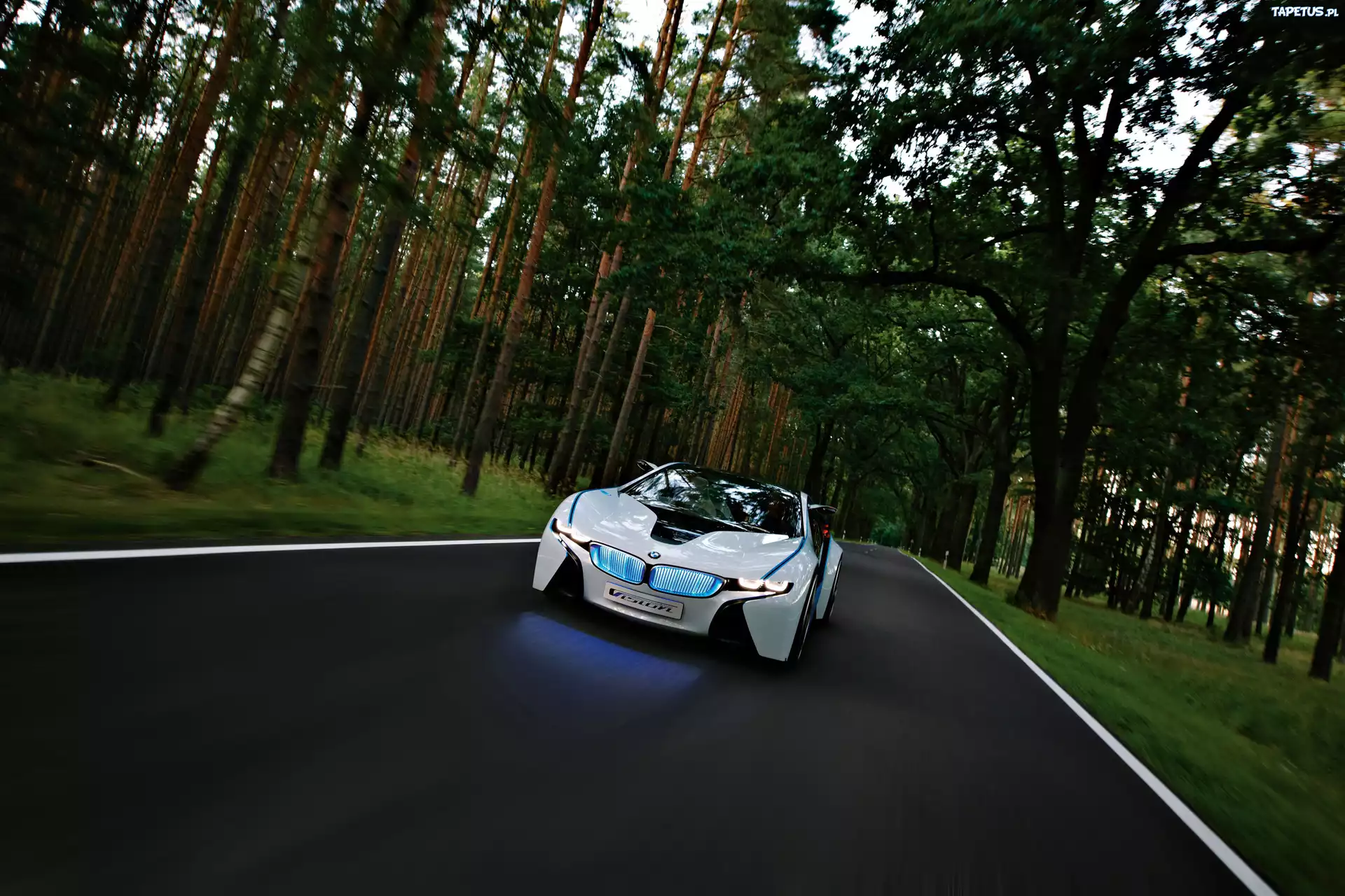 BMW Vision, Podświetlane, Nerki