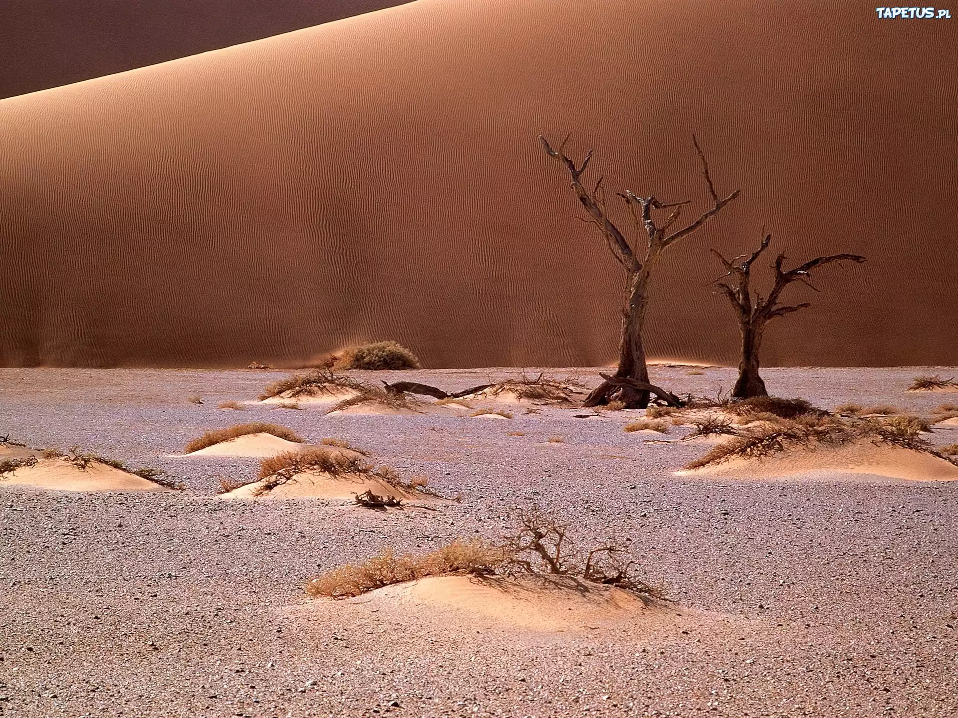 Namib, Afryka