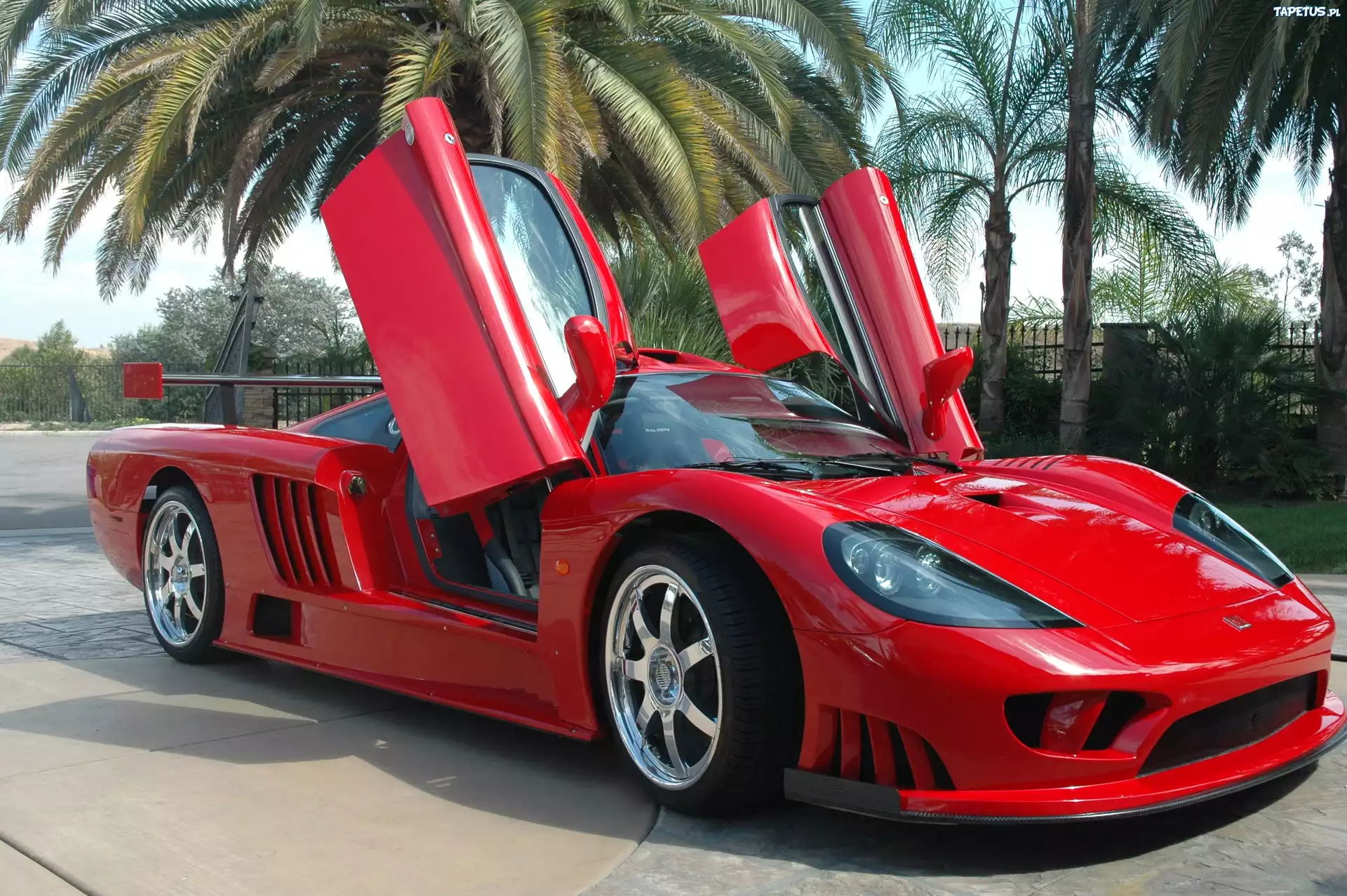 Saleen S7, Unoszone, Drzwi