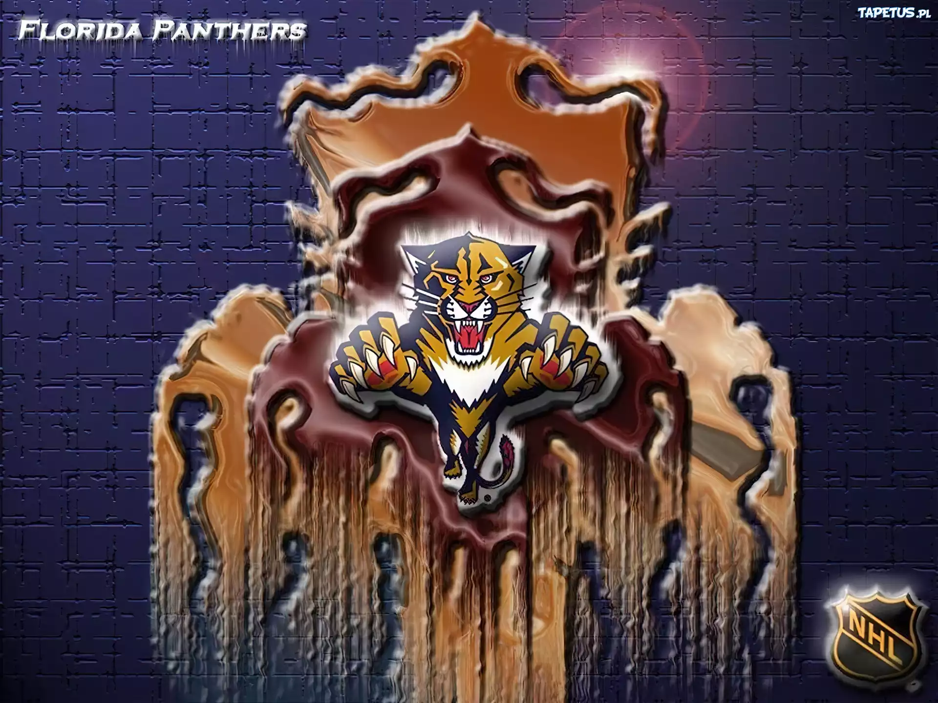 Logo, Drużyny, NHL, Florida Panthers