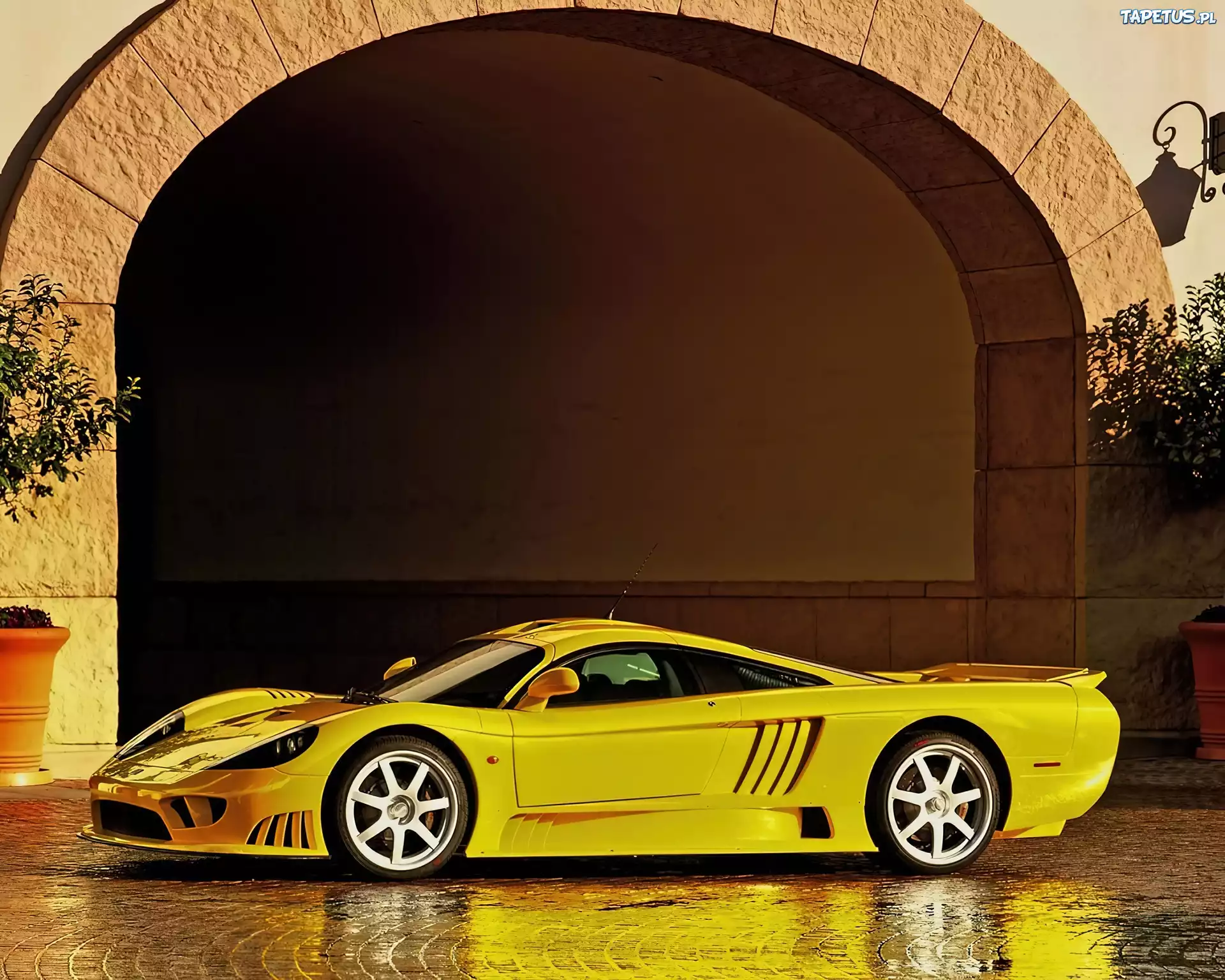 Saleen S7, Boczne, Wloty, Powietrza