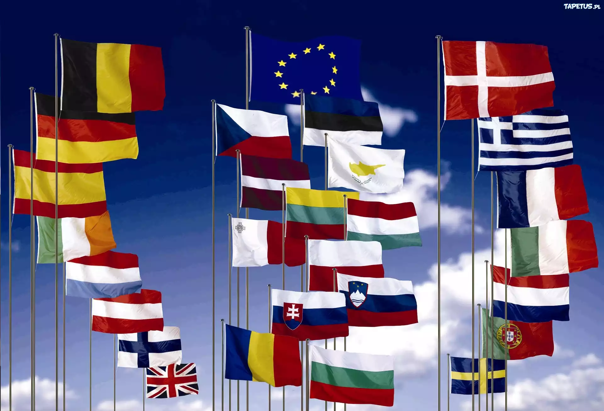 Flagi, Państw, Unia, Europejska