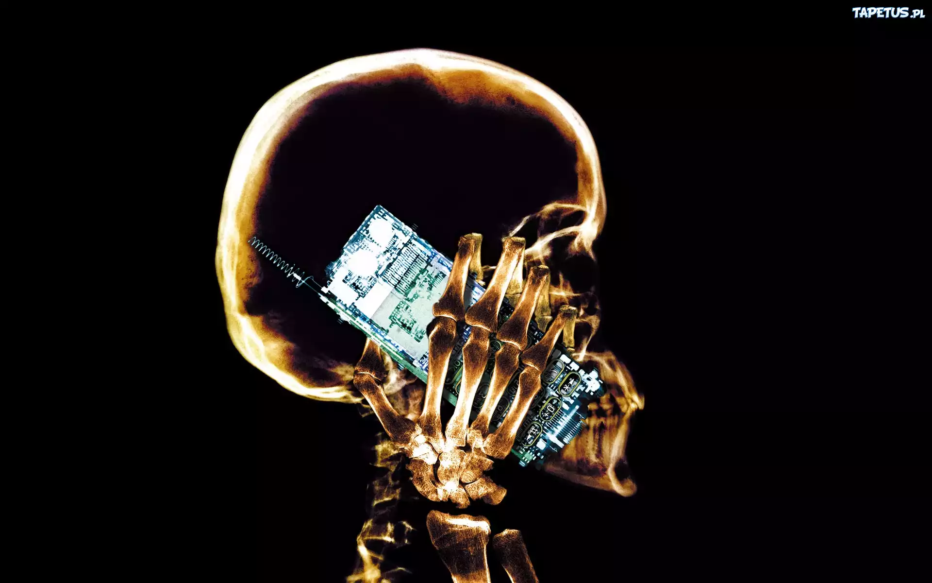Czaszka, Telefon