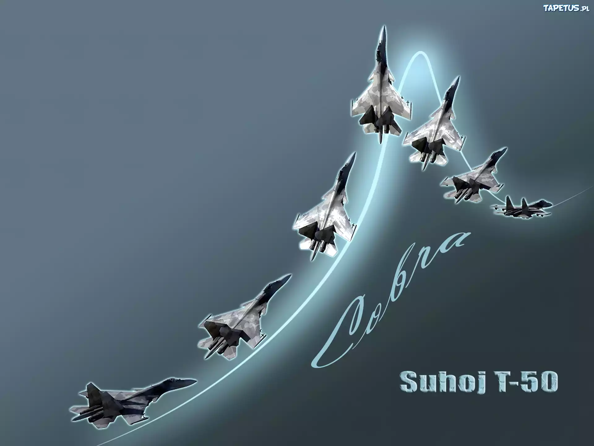 Suchoj T-50, Figura, Kobra