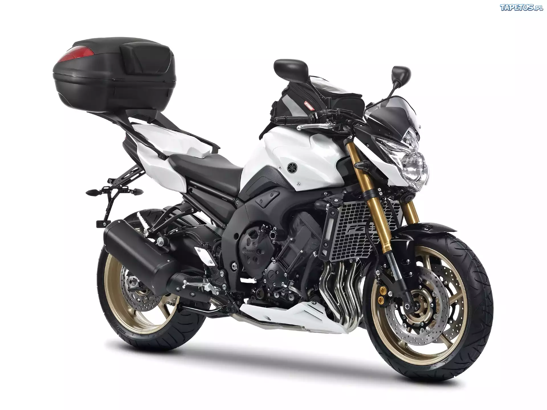 Yamaha FZ8, Naked, Kufer