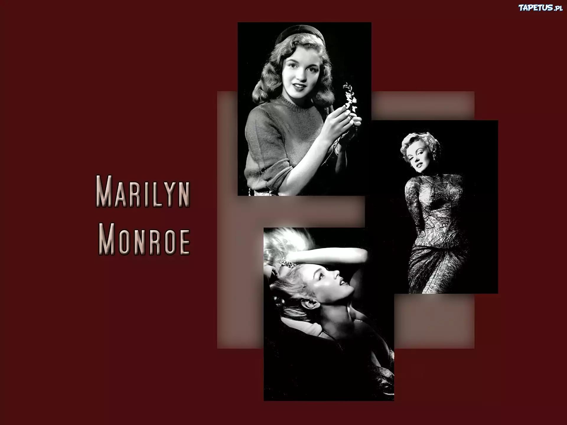 Młodość, Marylin Monroe