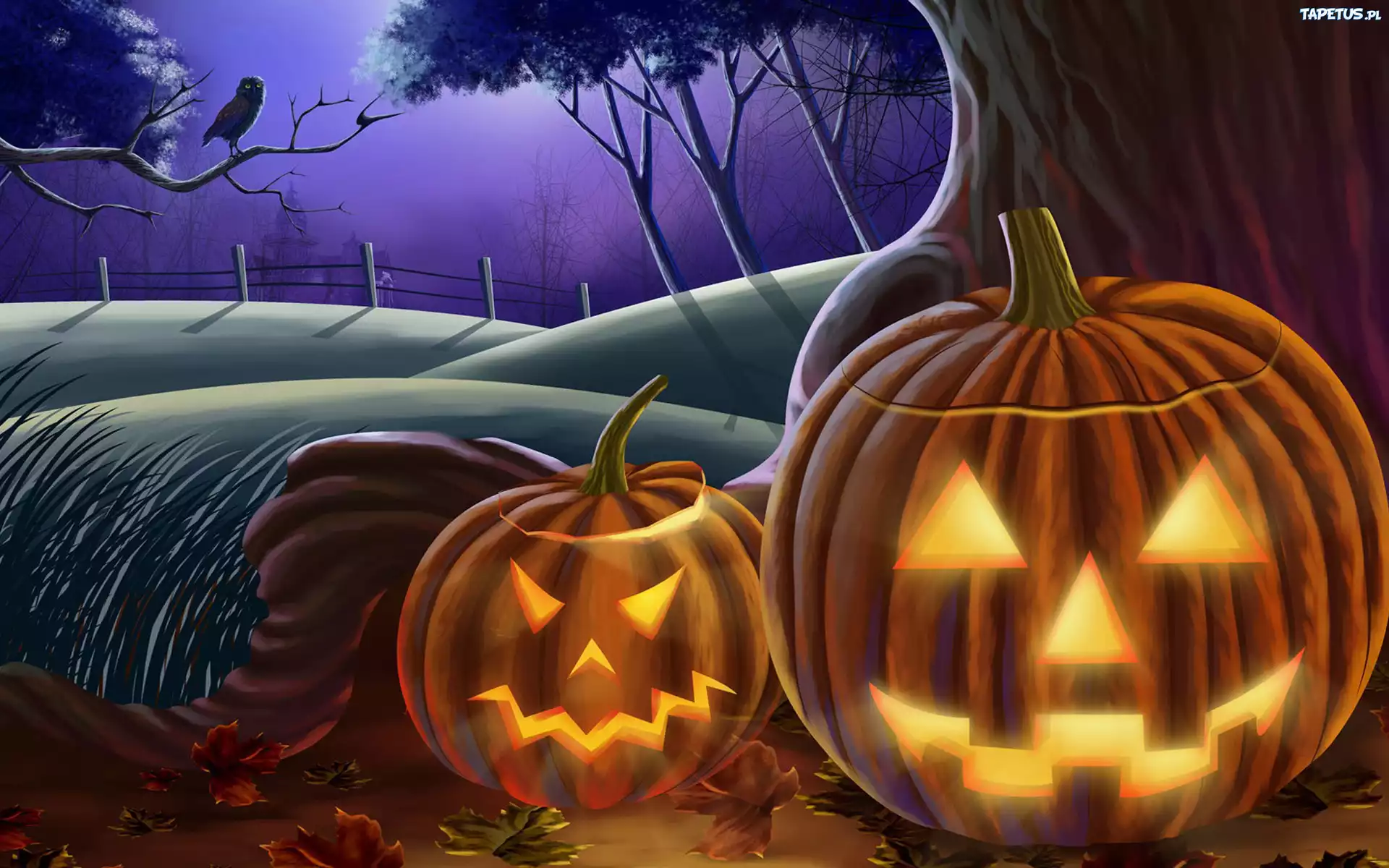 Dynie, Halloween