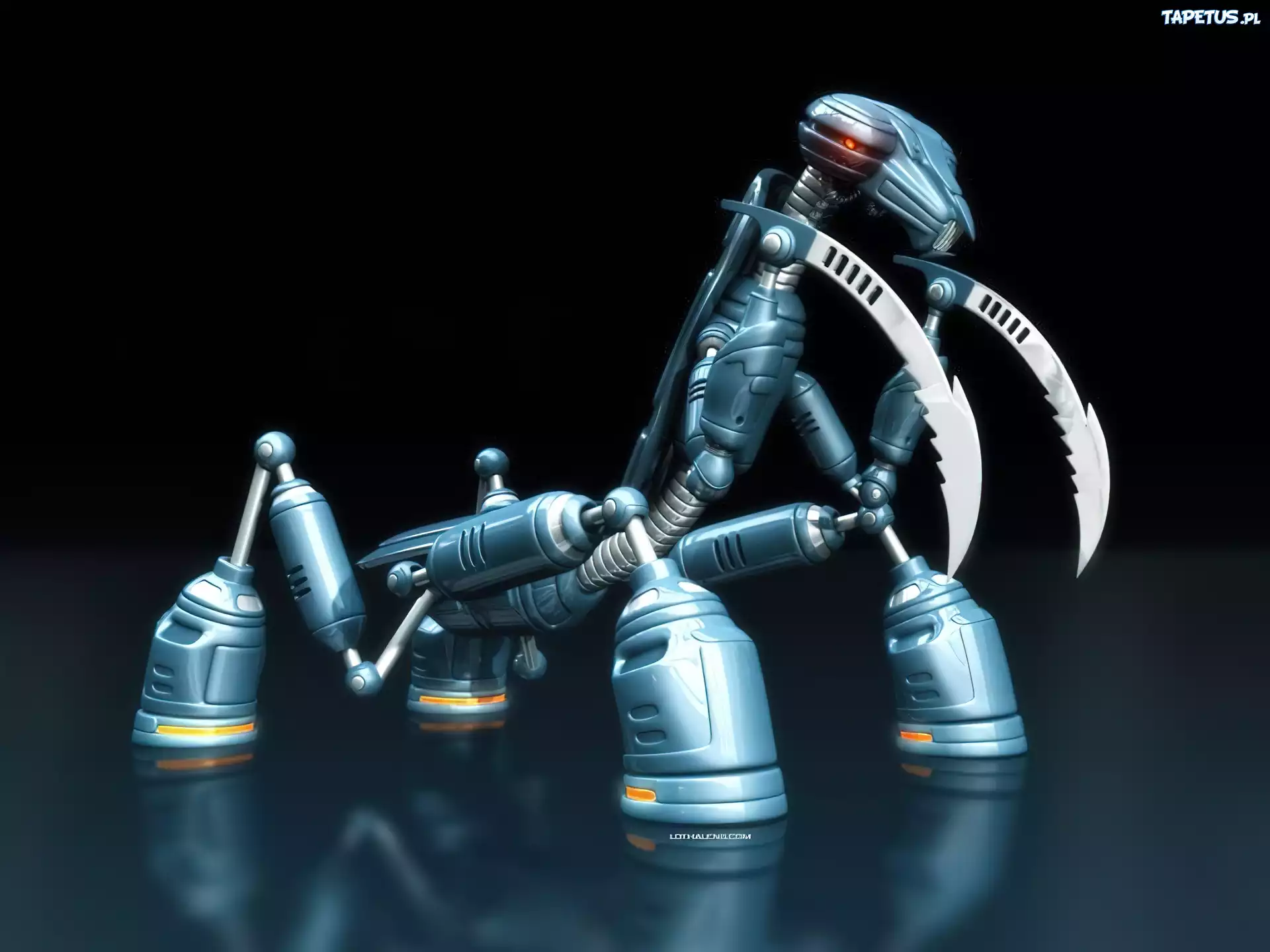Modliszka, Robot