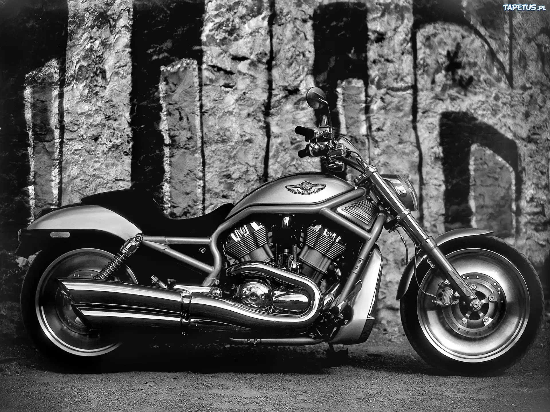 Srebrny, Harley-Davidson VRSC V-Rod