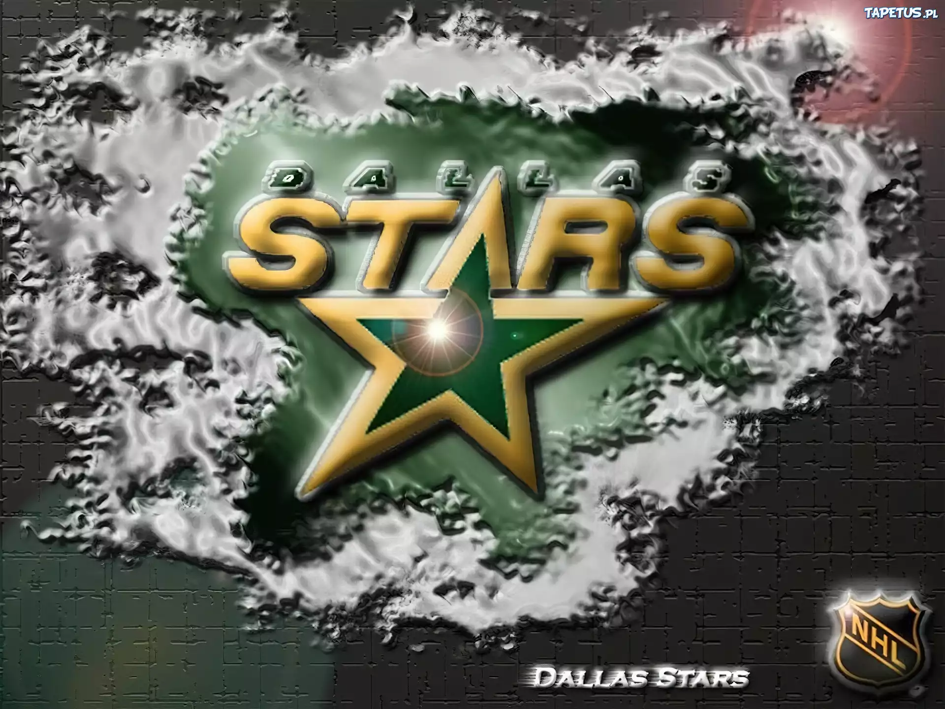 Logo, Drużyny, NHL, Dallas Stars
