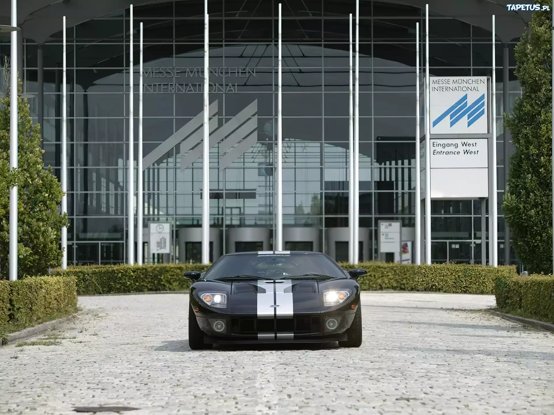 Czarny, Ford GT, Srebrne, Pasy