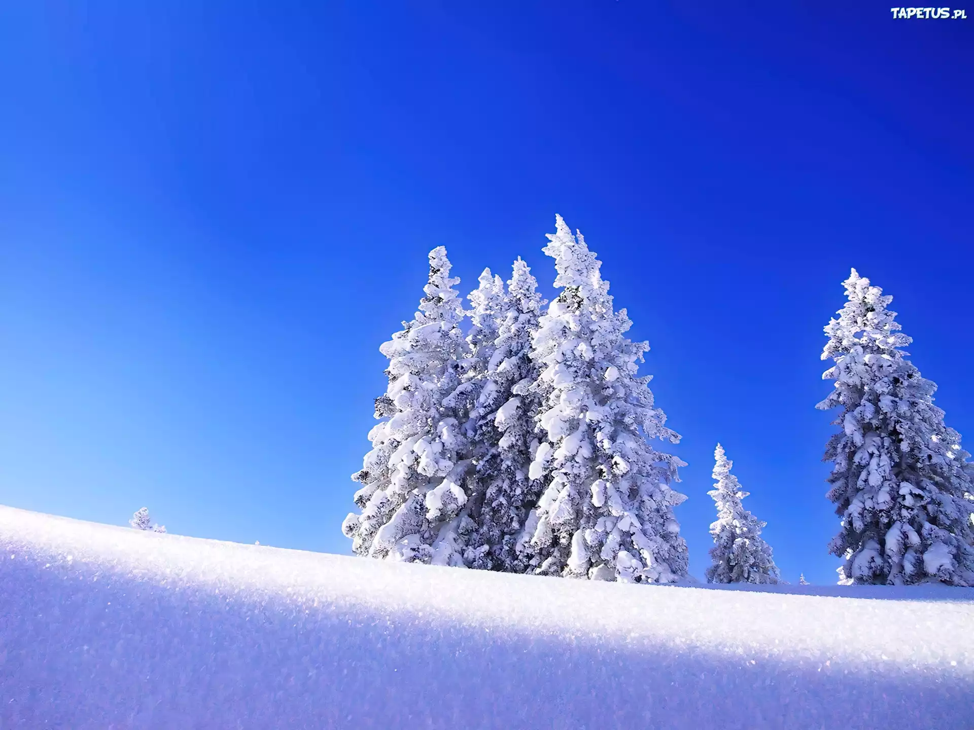 Niebieskie, Niebo, Zima, Śnieg