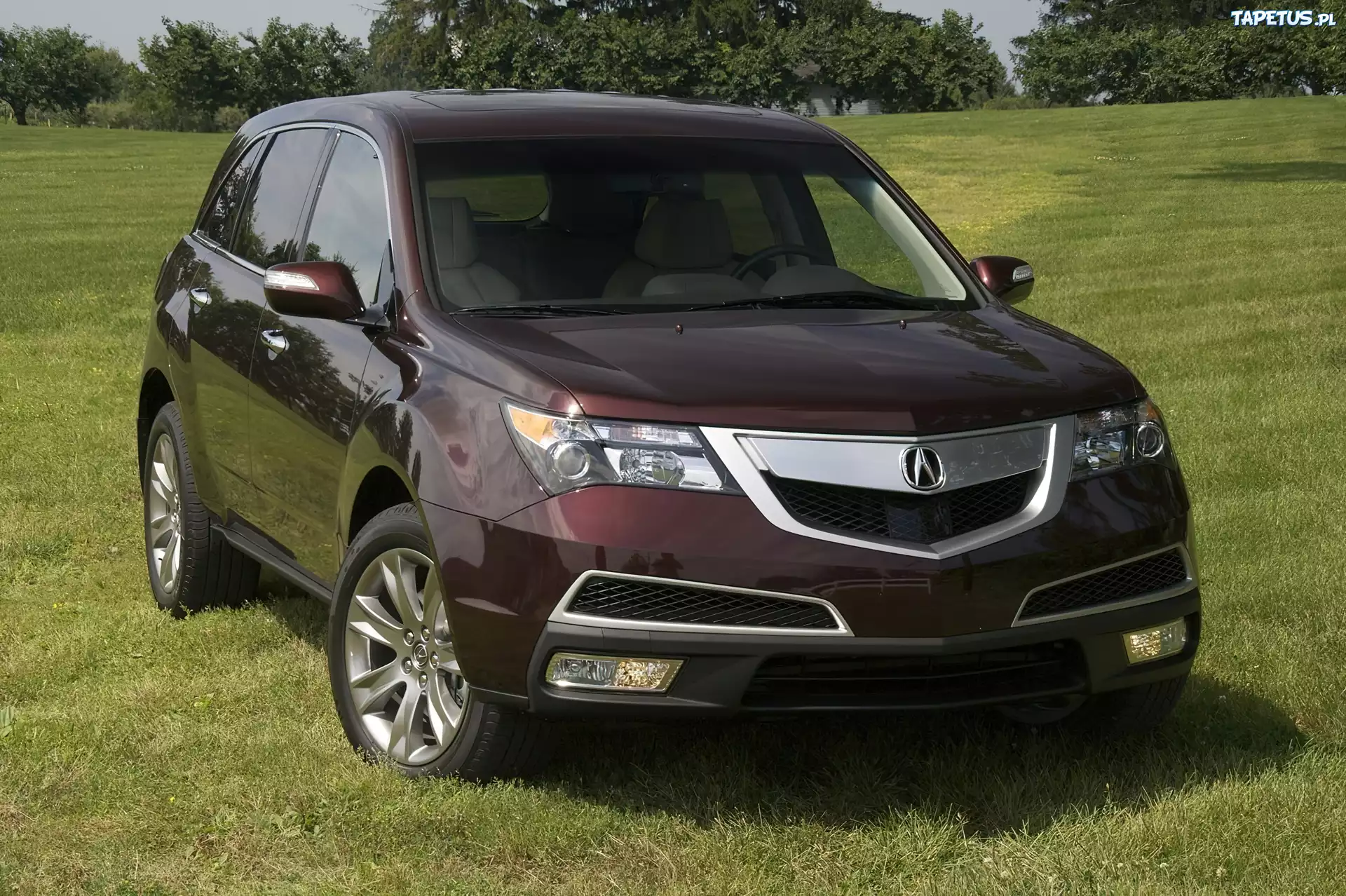 Bordowa, Acura MDX, Dyferencjał