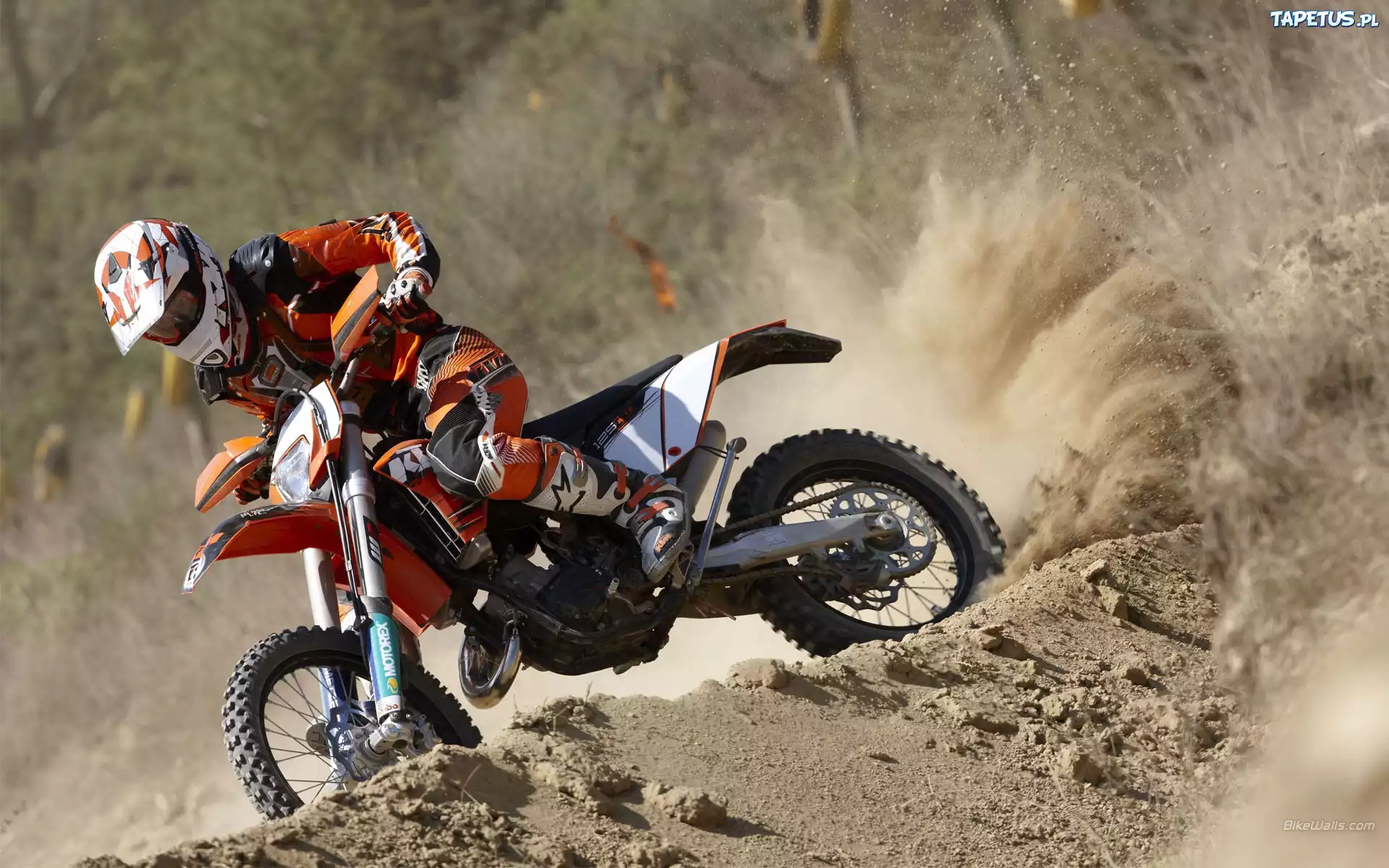 KTM 125 EXC, Teren