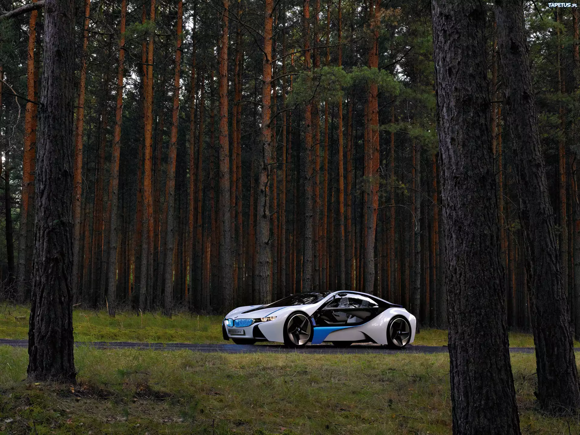 BMW Vision Efficient Dynamics, Las