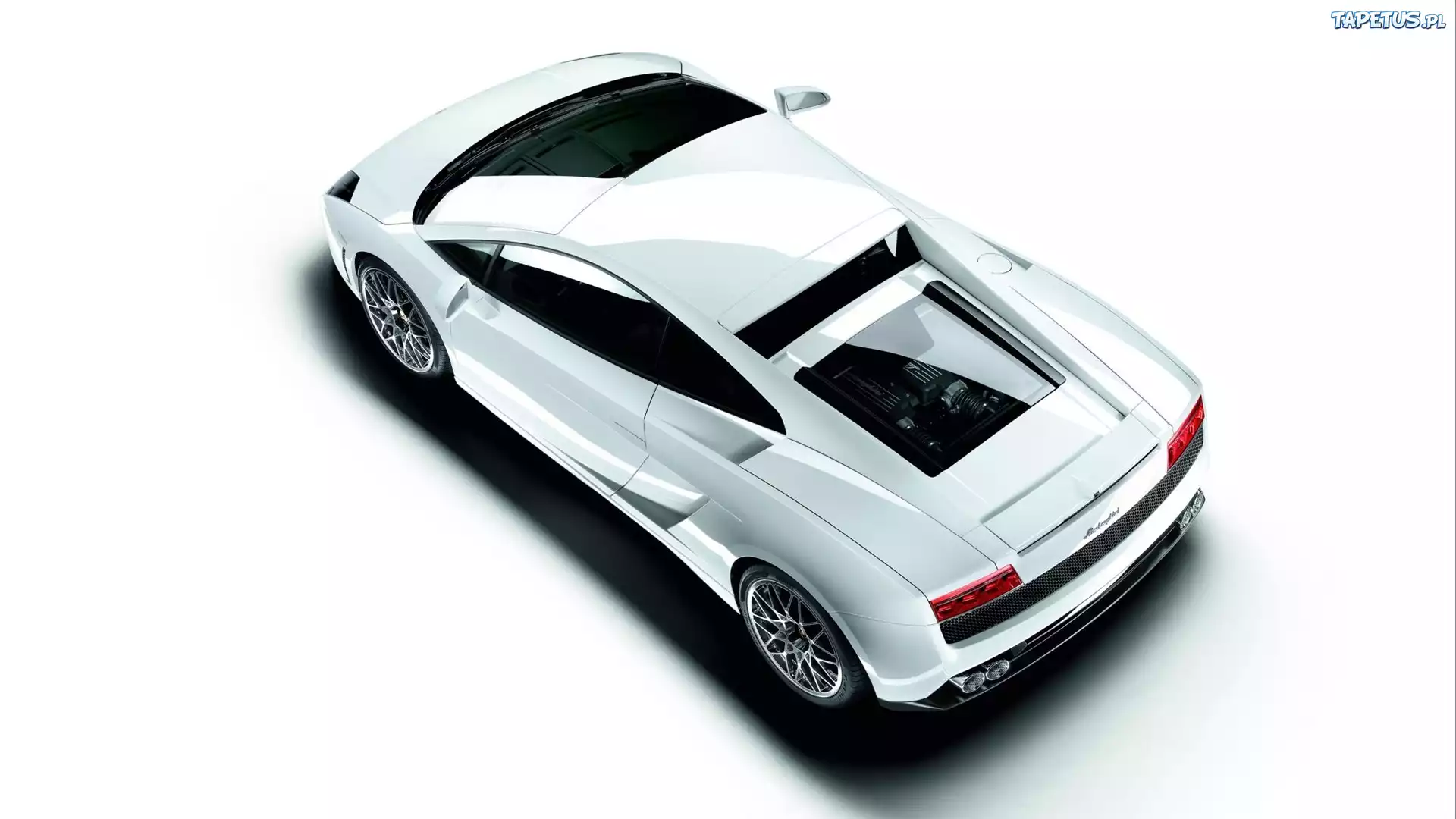 Białe, Lamborghini Murcielago