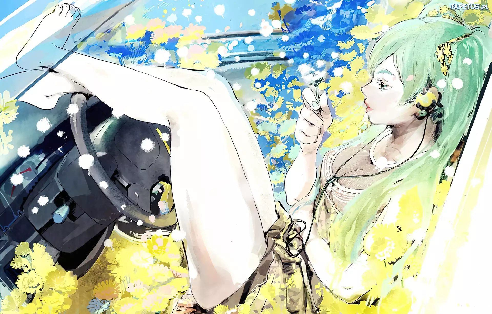 Miku Hatsune, Auto, Kierownica