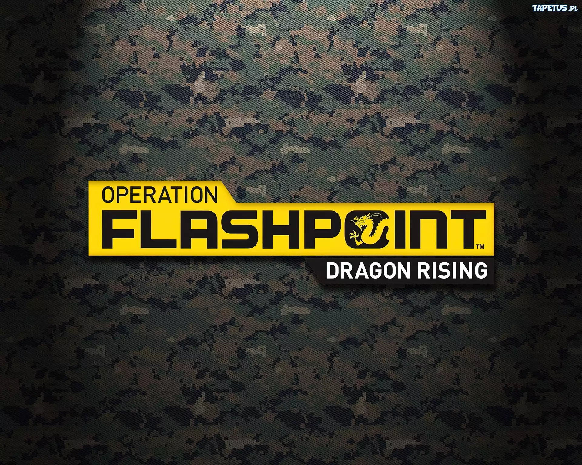 Logo, Operation Flashpoint 2