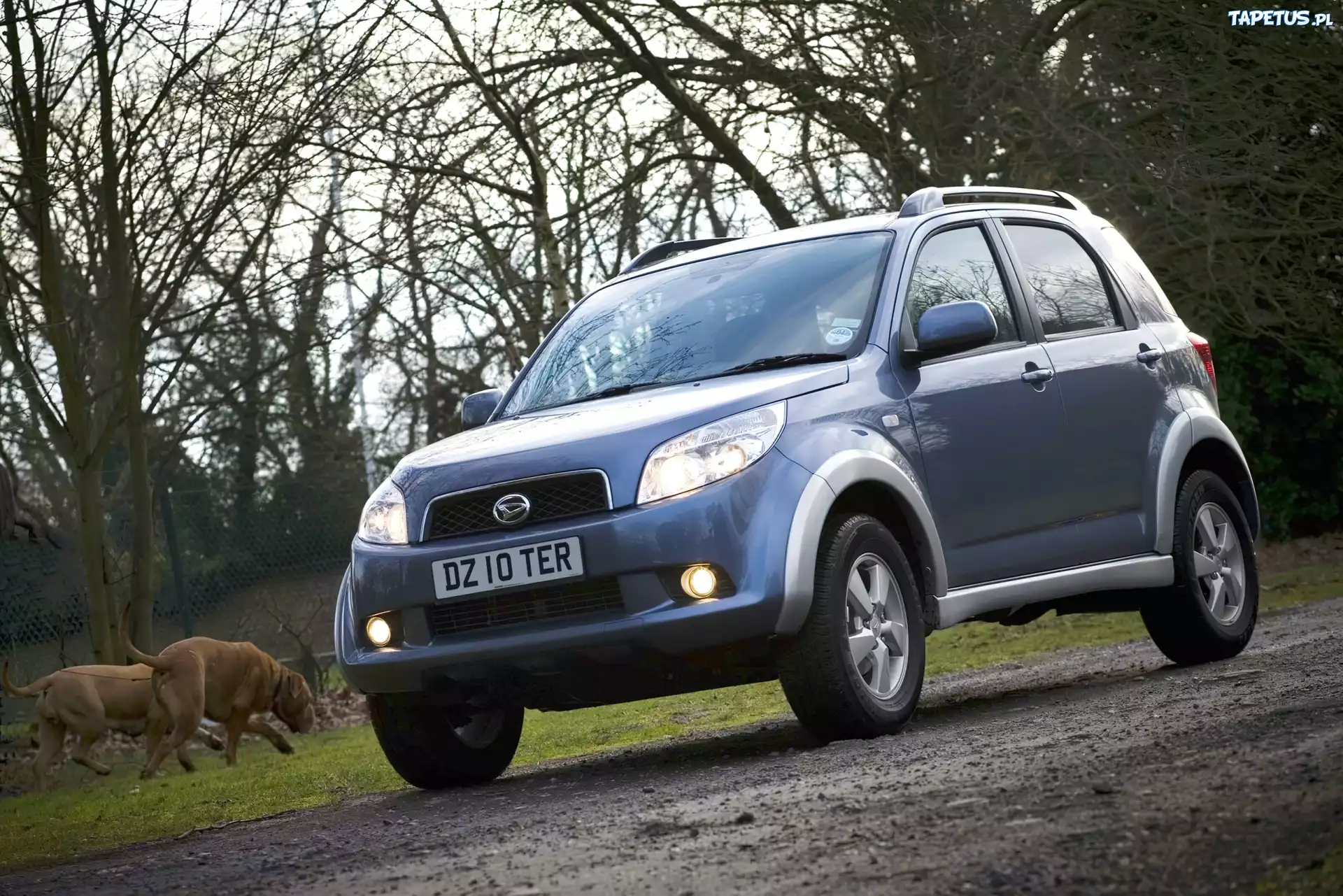 Daihatsu Terios, Polna, Droga