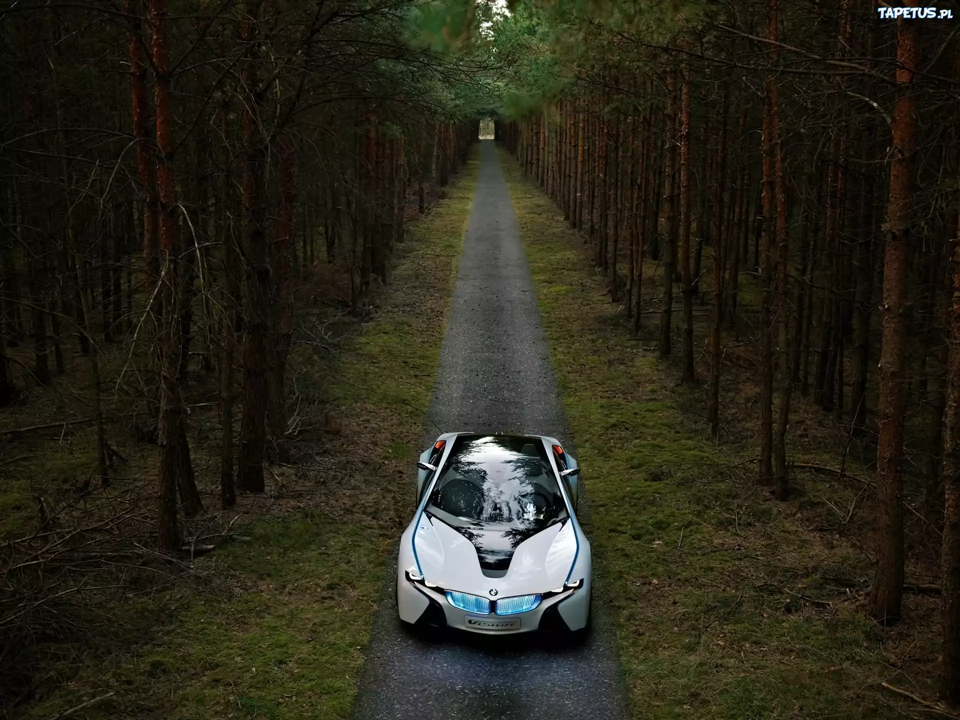 BMW Vision, Napęd, Efficient Dynamics
