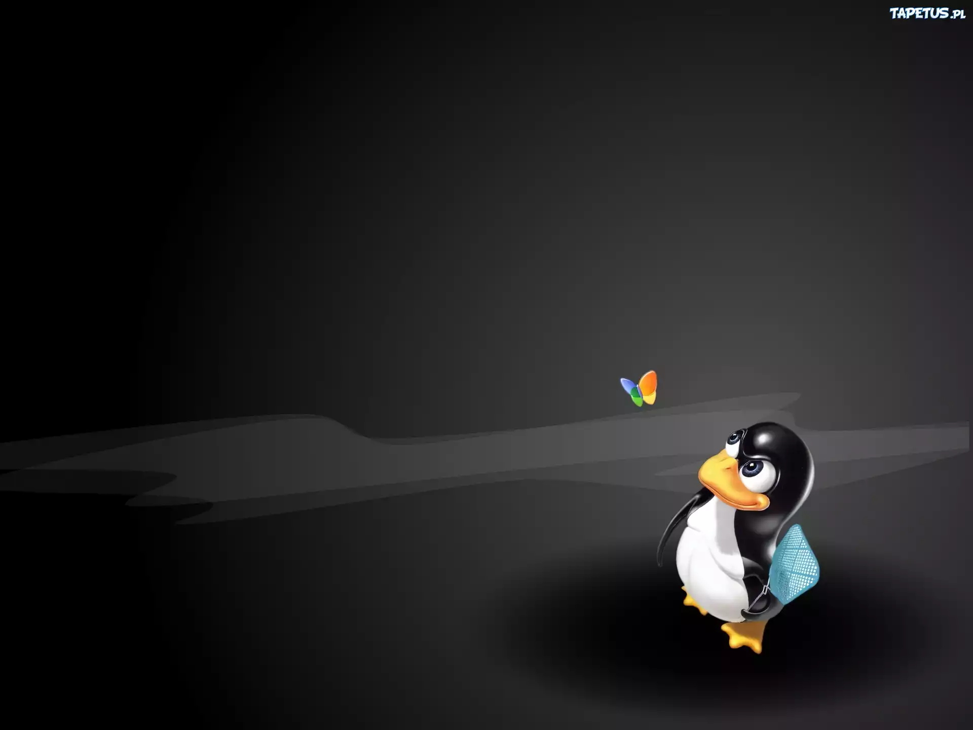 Windows XP, Pingwinek, Linux