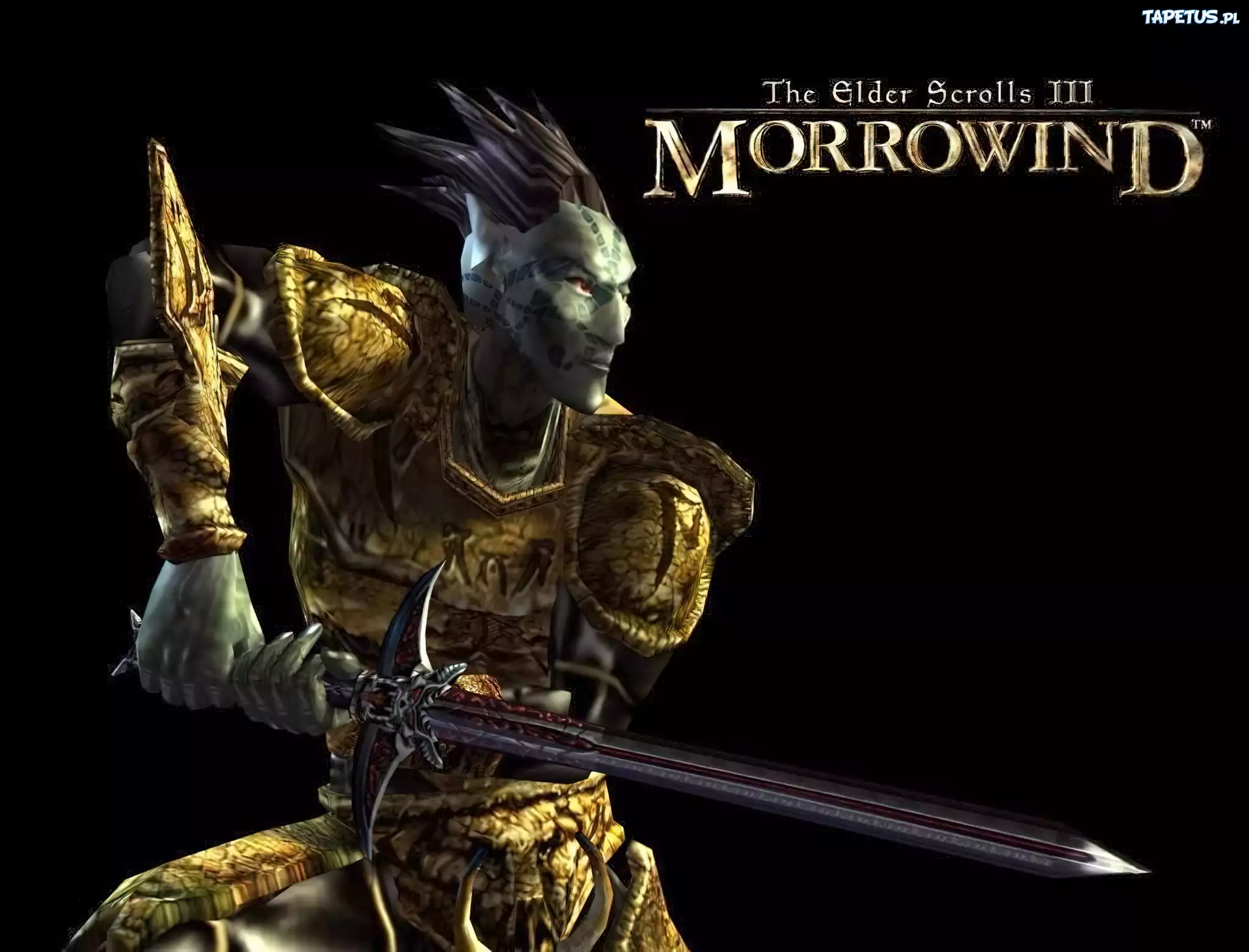 The Elder Scrolls III: Morrowind, Miecz