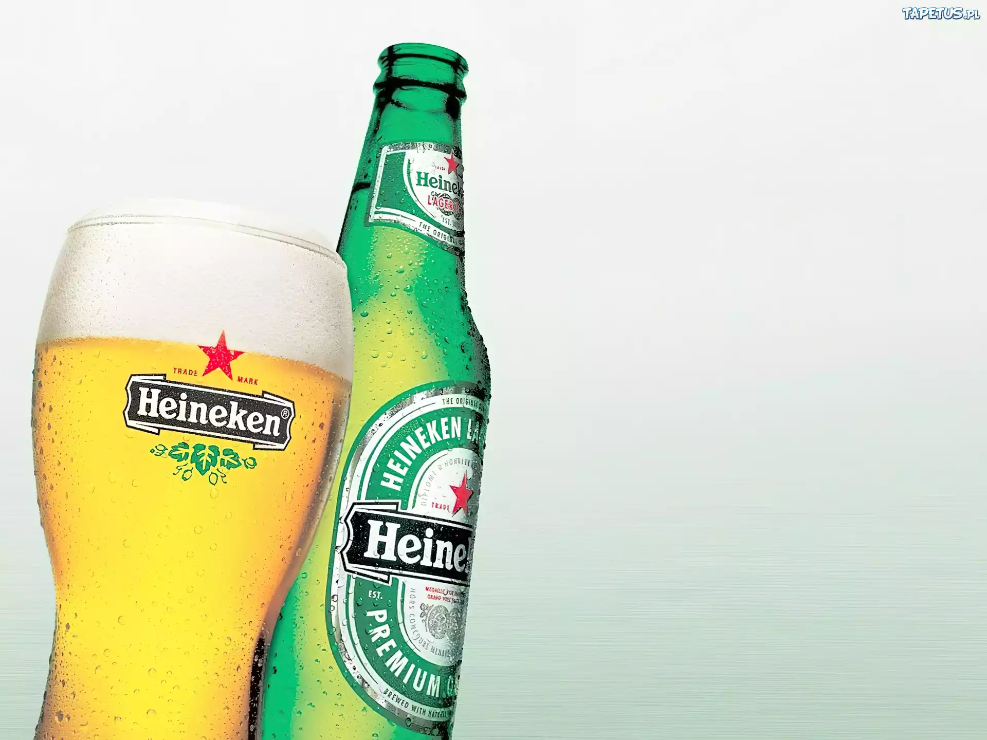 Piwo, Heineken, piana