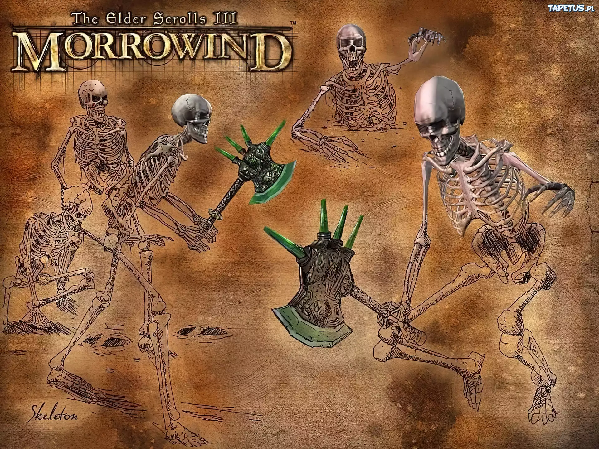 The Elder Scrolls III: Morrowind, Szkielety