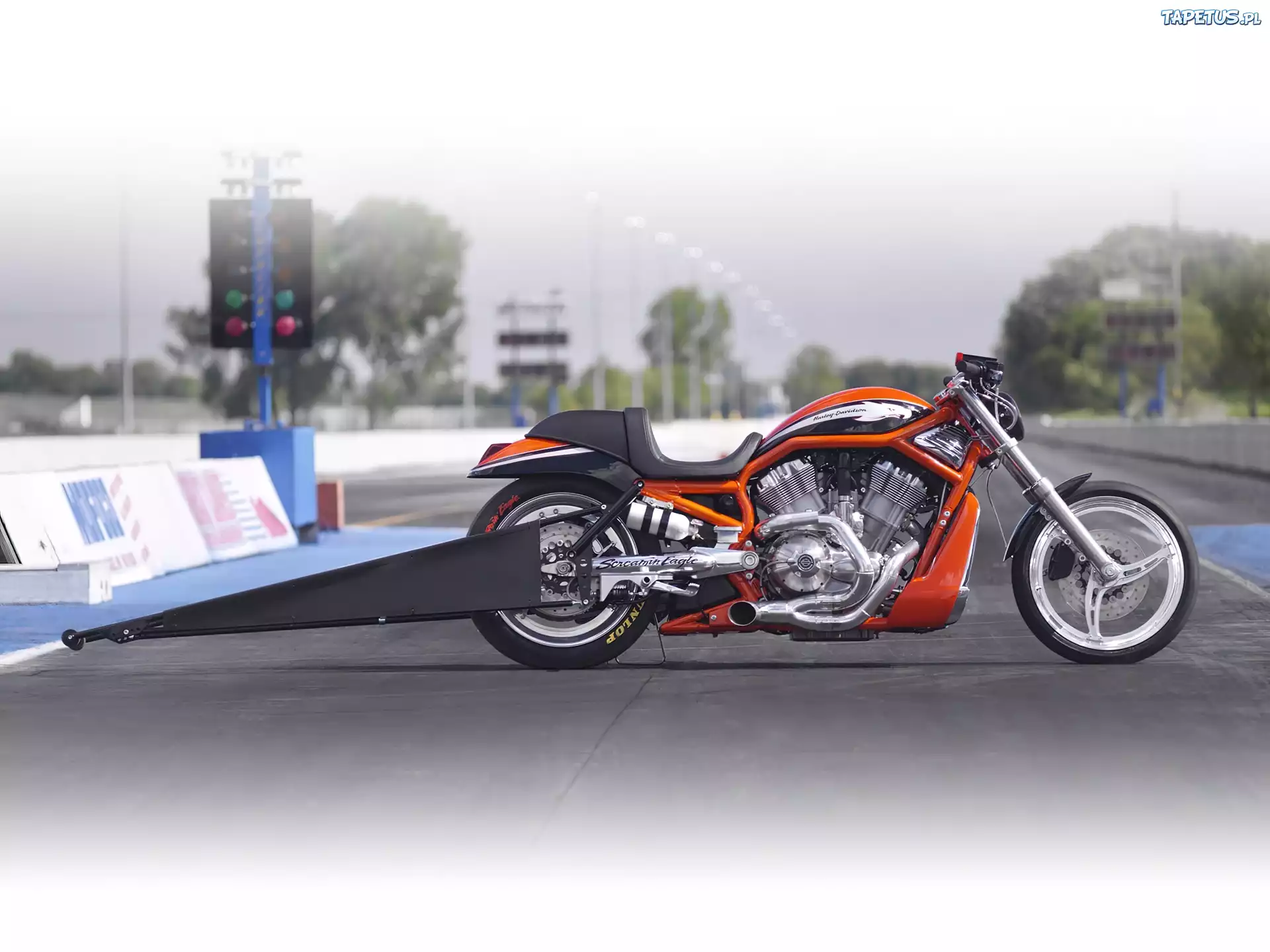Harley Davidson Screamin Eagle V-Rod, Drag, Race