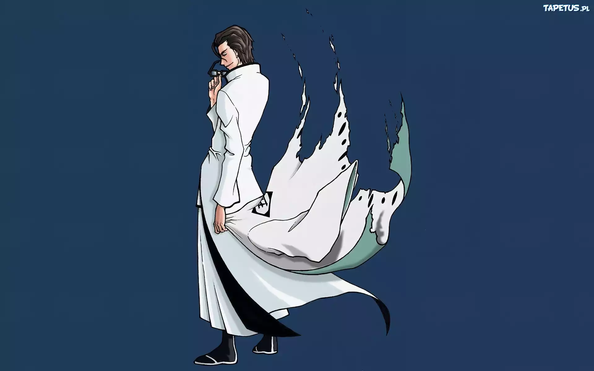 Postać, Manga, Bleach, Poszarpany, Płaszcz