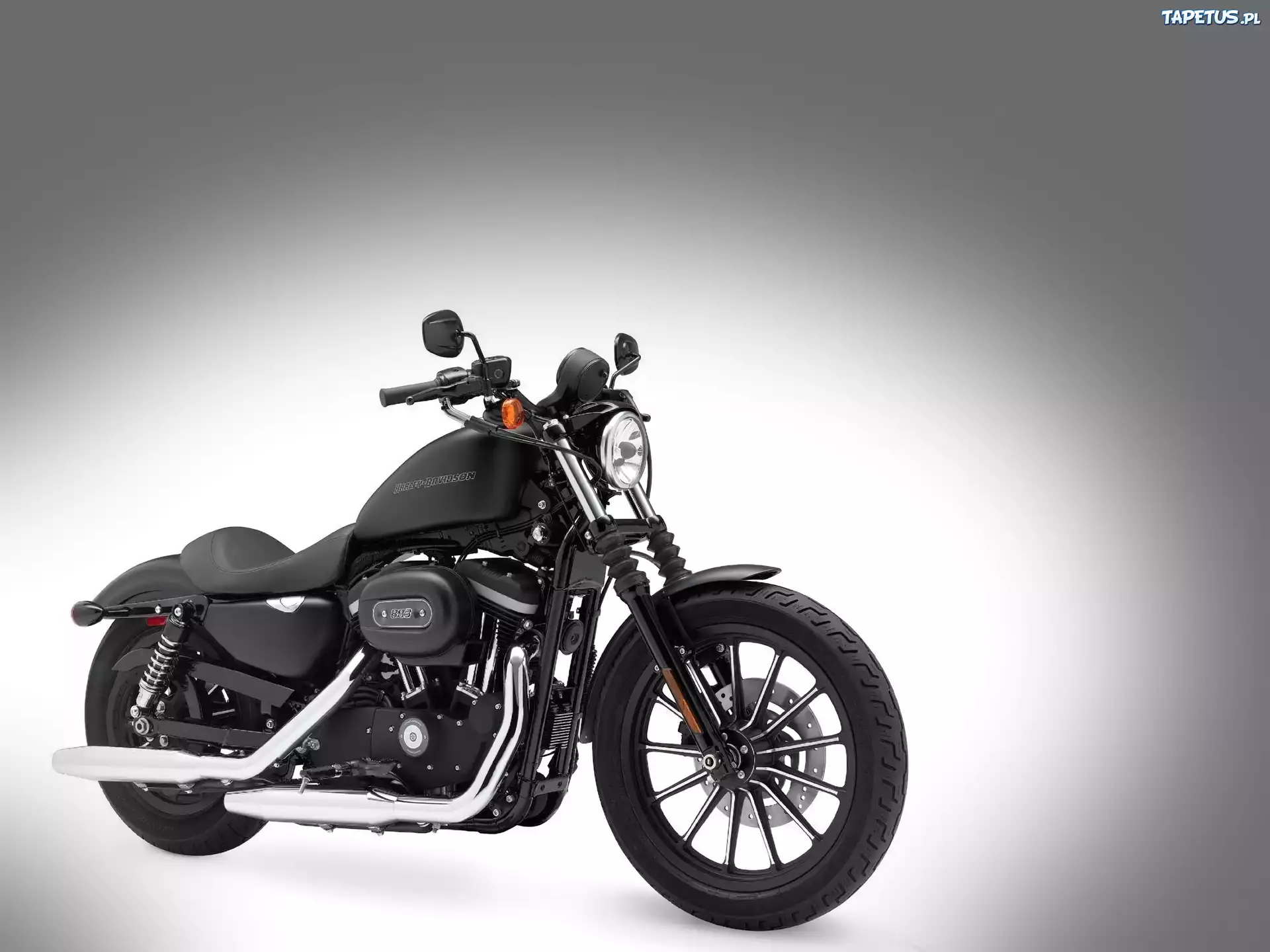 Chopper, Harley Davidson Sportster Iron 883