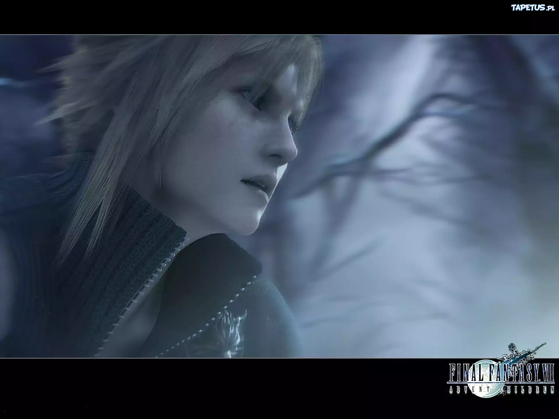 Ff 7 Advent Children, postać, zmierzch