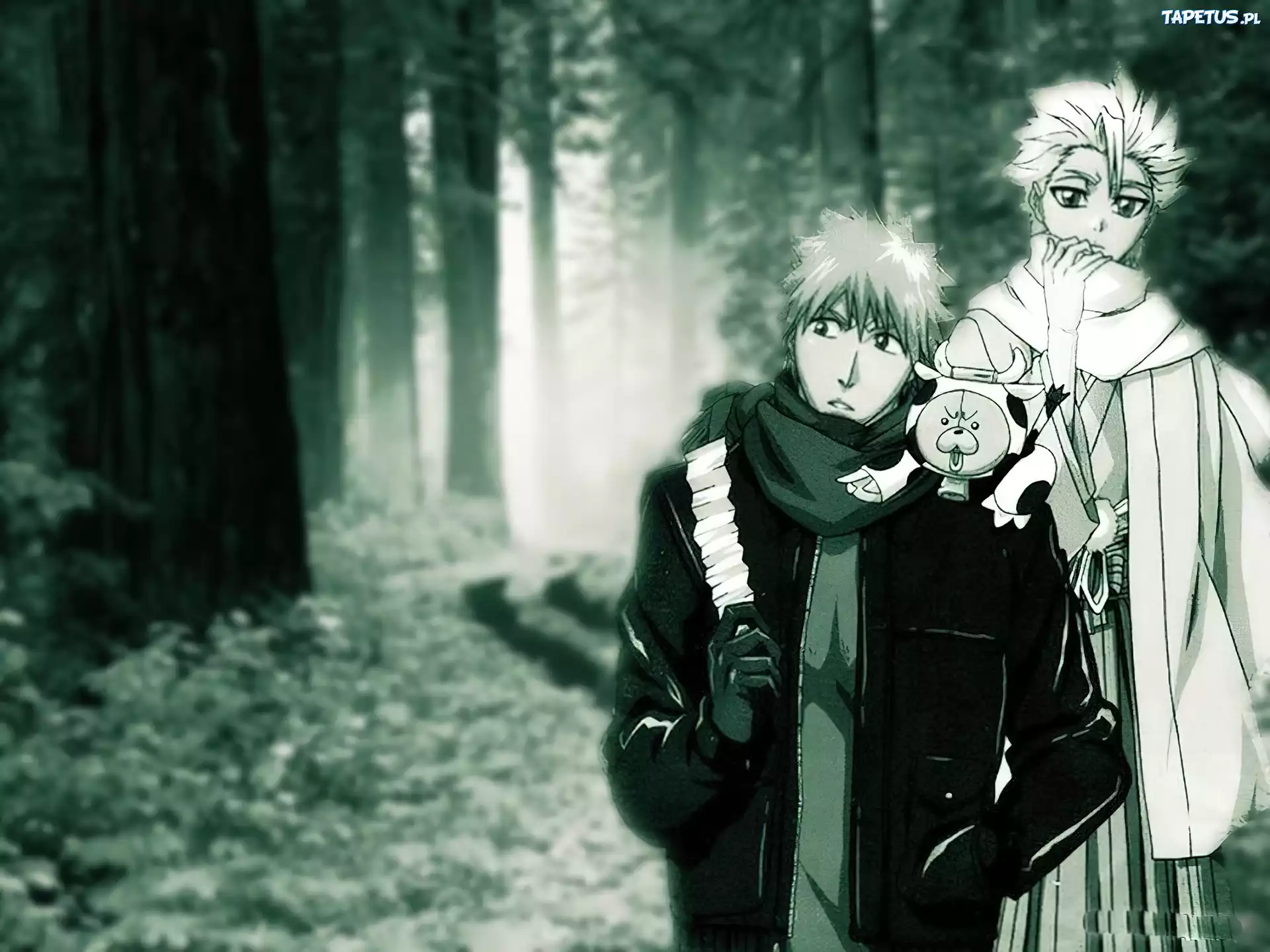 Las, Misiek, Postacie, Bleach
