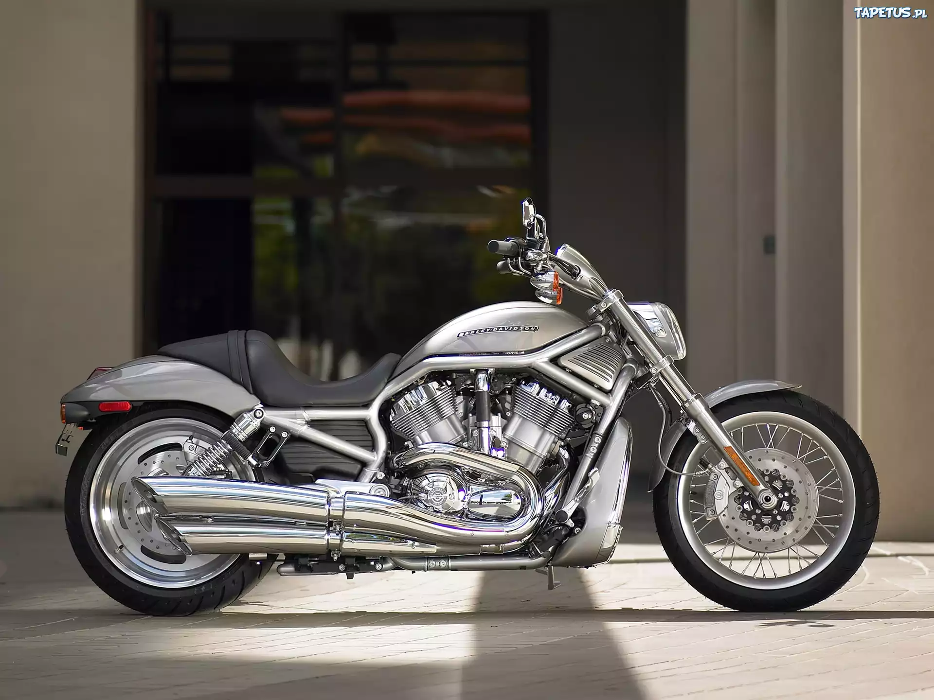 Prawa, Strona, Harley Davidson V-Rod