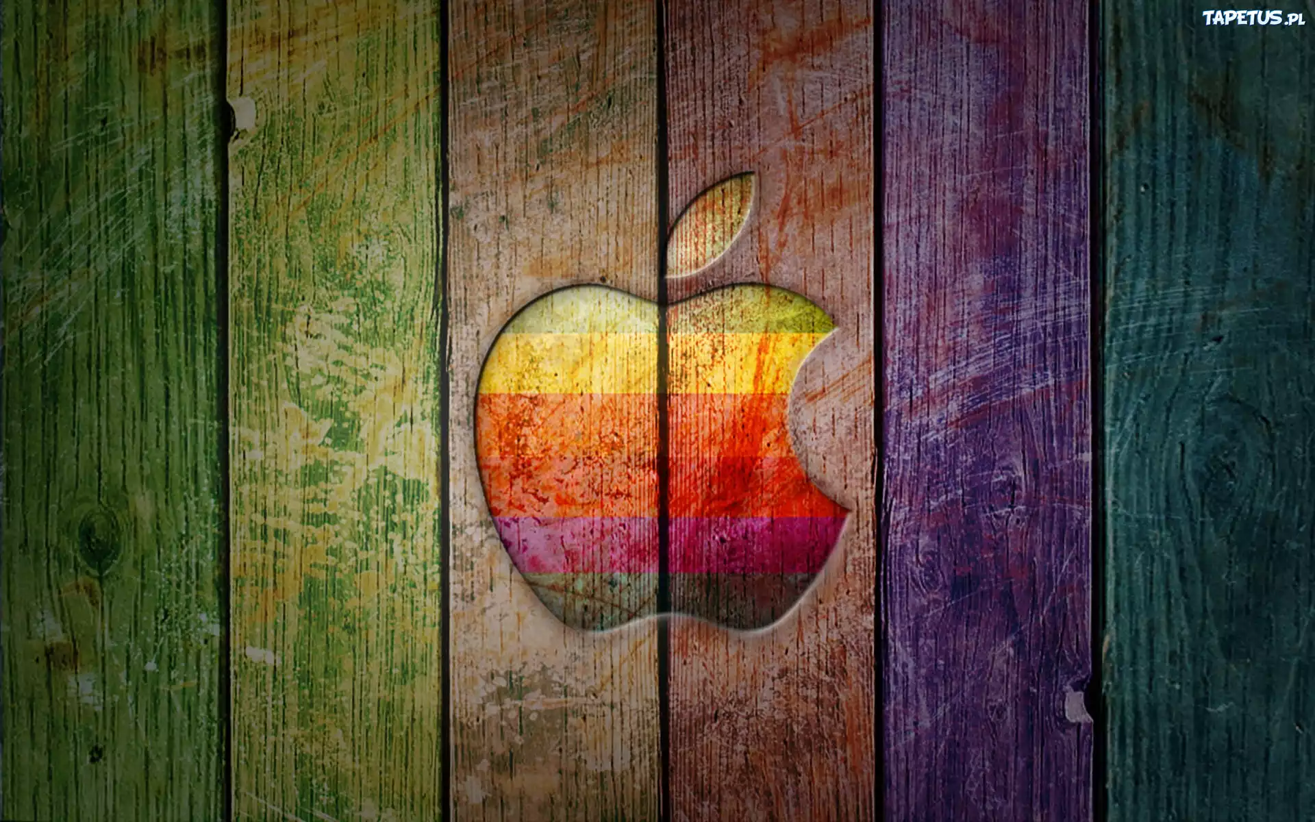 Płot, Apple, Producent, iPoda