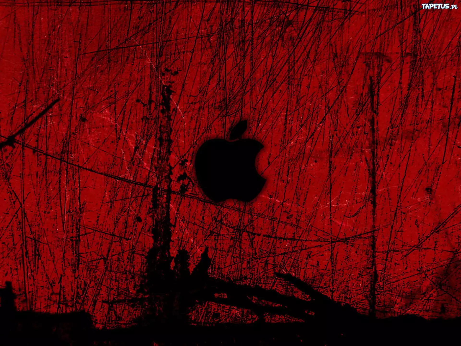 Apple, Producenta, iPodów