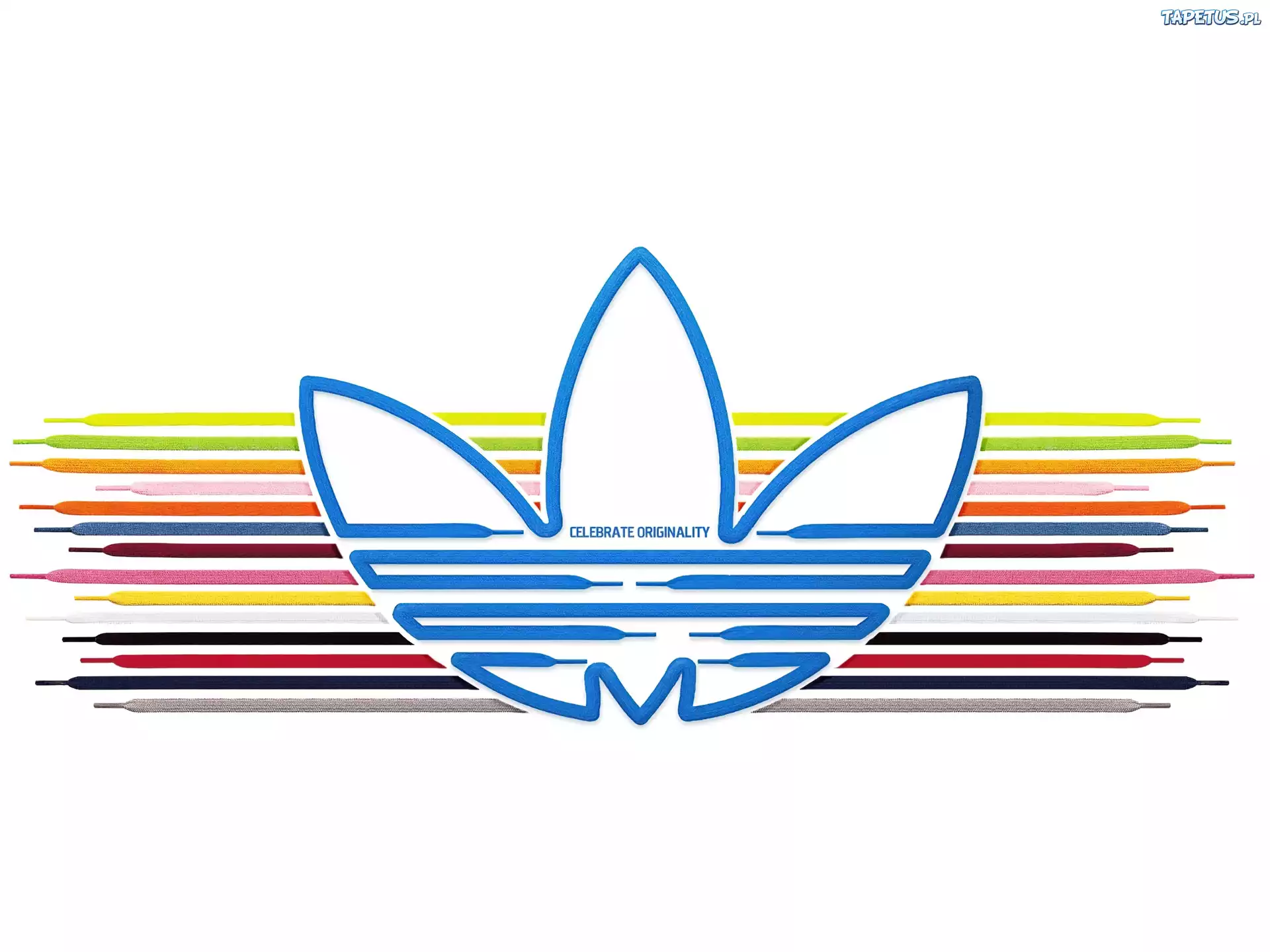 Adidas, Sznurówki, Tulipan
