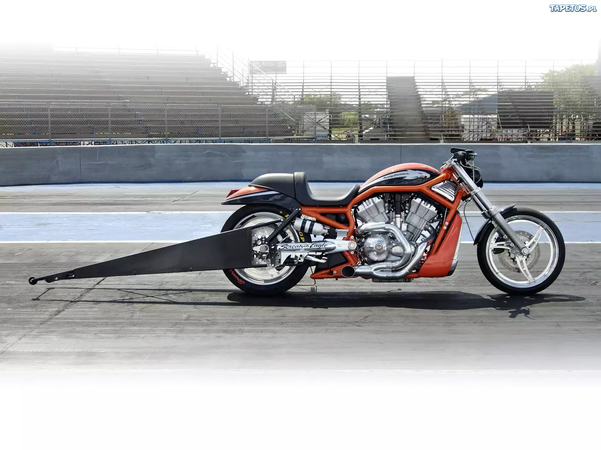 Harley Davidson V-Rod Muscle, Drag