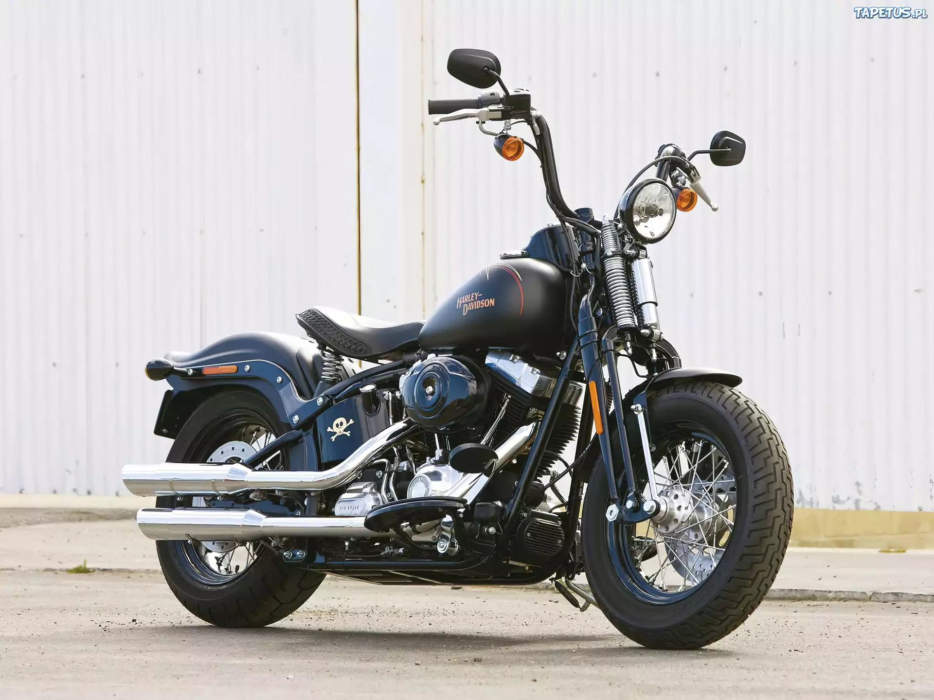 Harley Davidson Softail Cross Bones, Retro