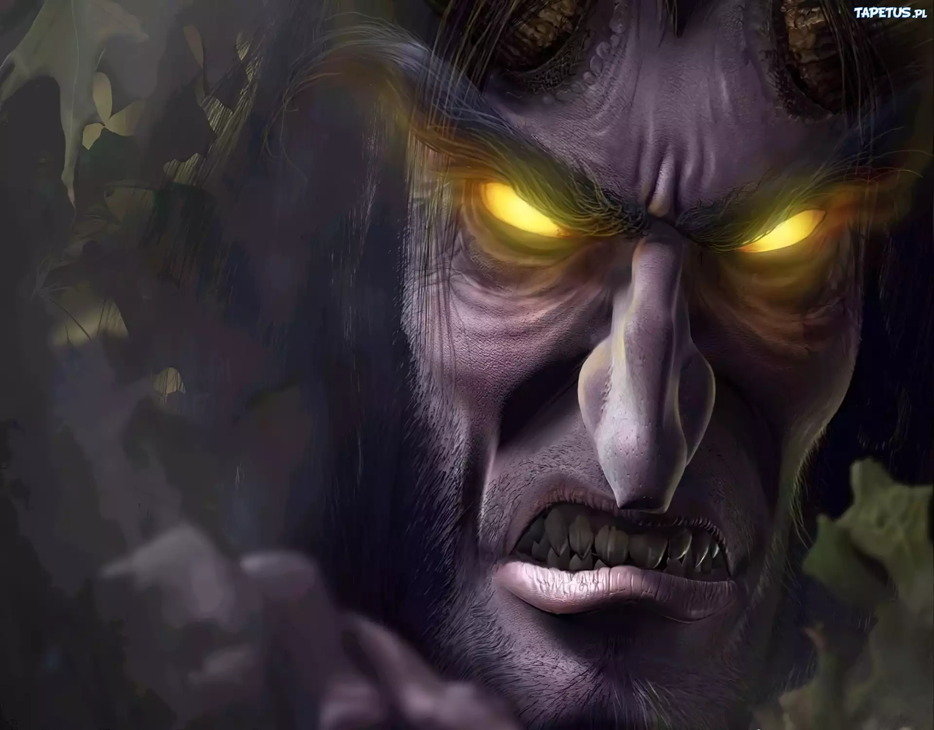 Gra, World Of Warcraft