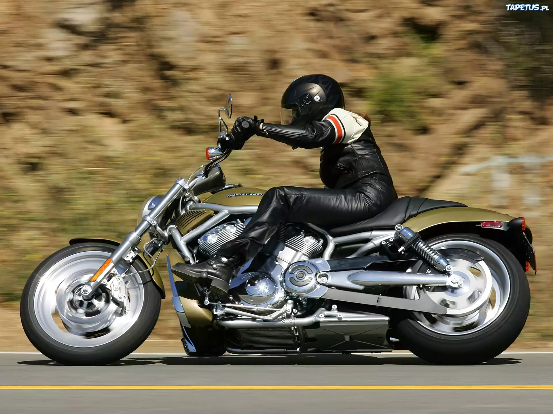 Harley Davidson V-Rod, Rama, Pas, Napędowy