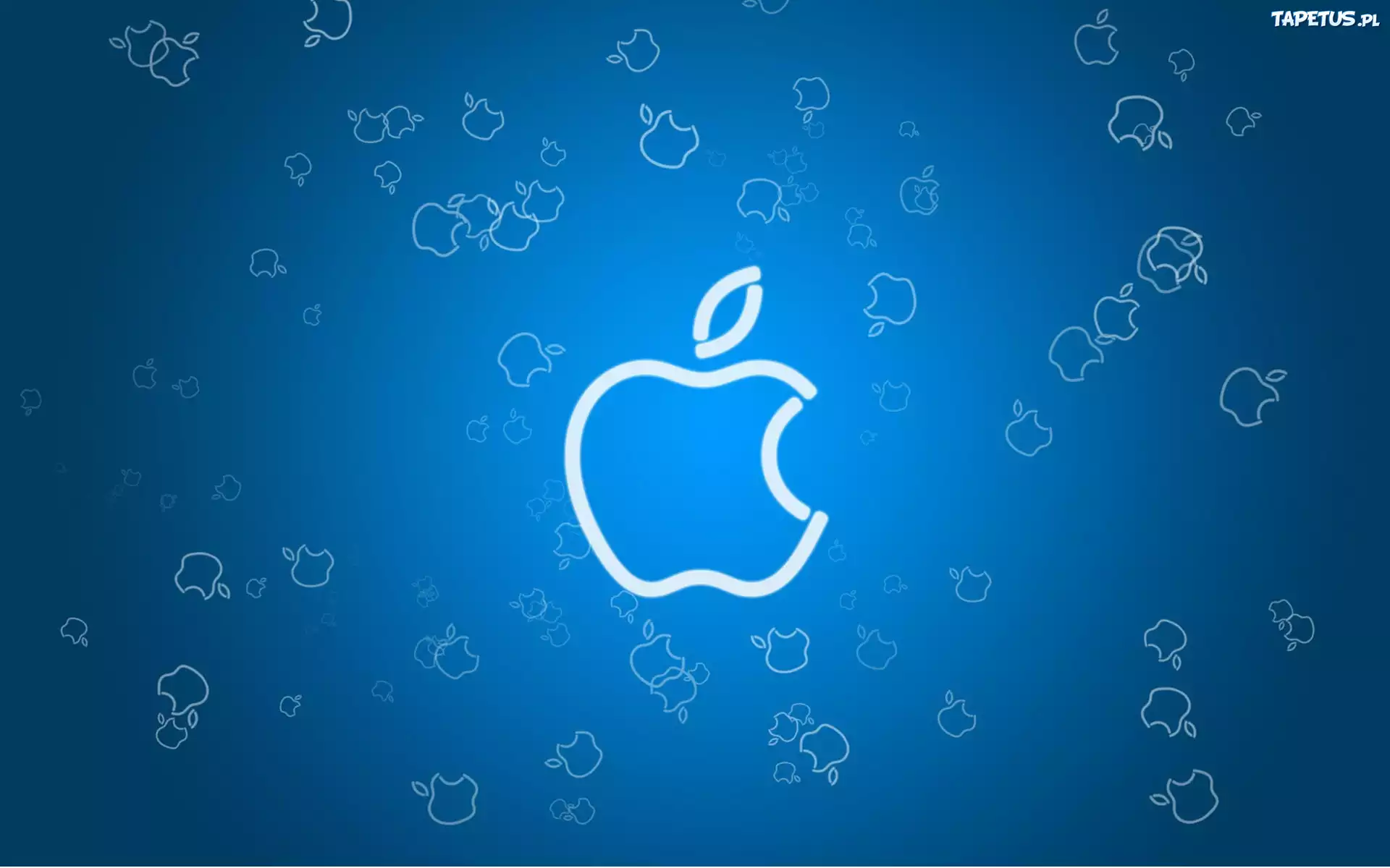 Apple, iBook