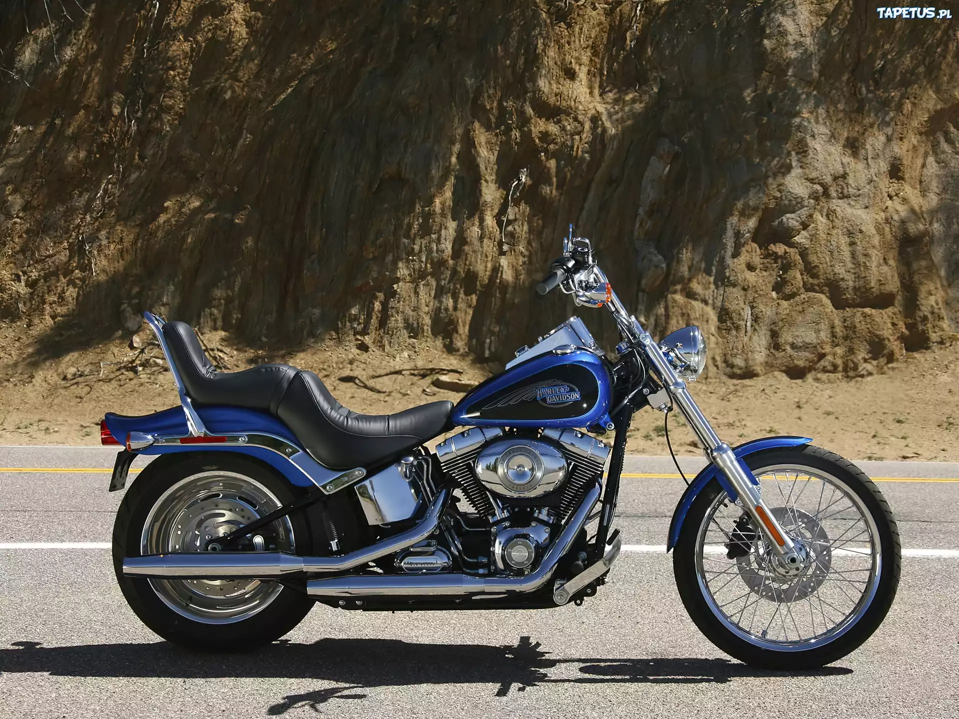Chopper, Harley Davidson Softail Custom