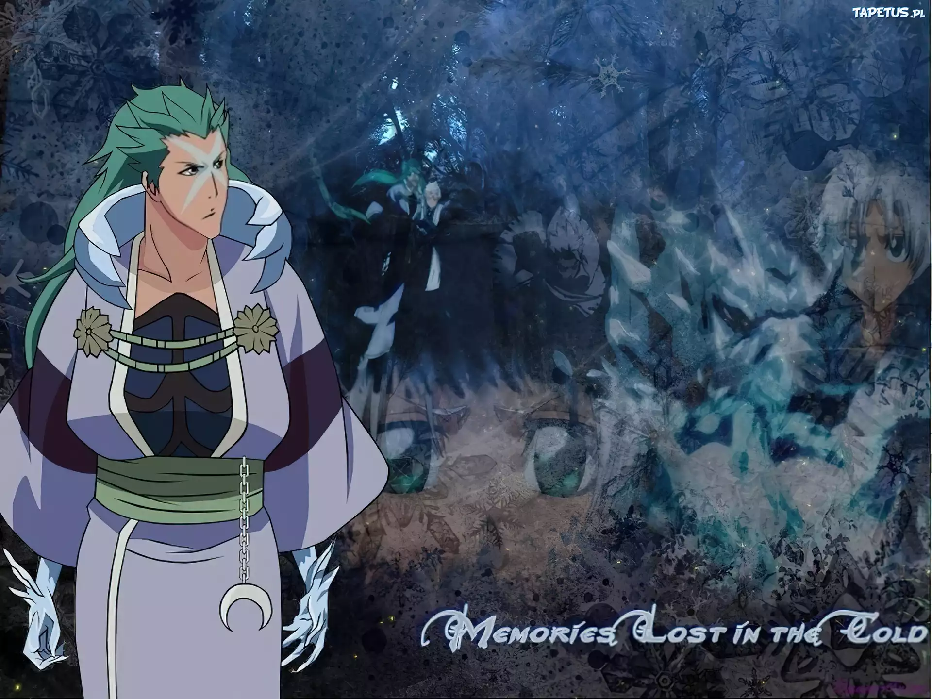 Hyorinmaru, Manga, Bleach