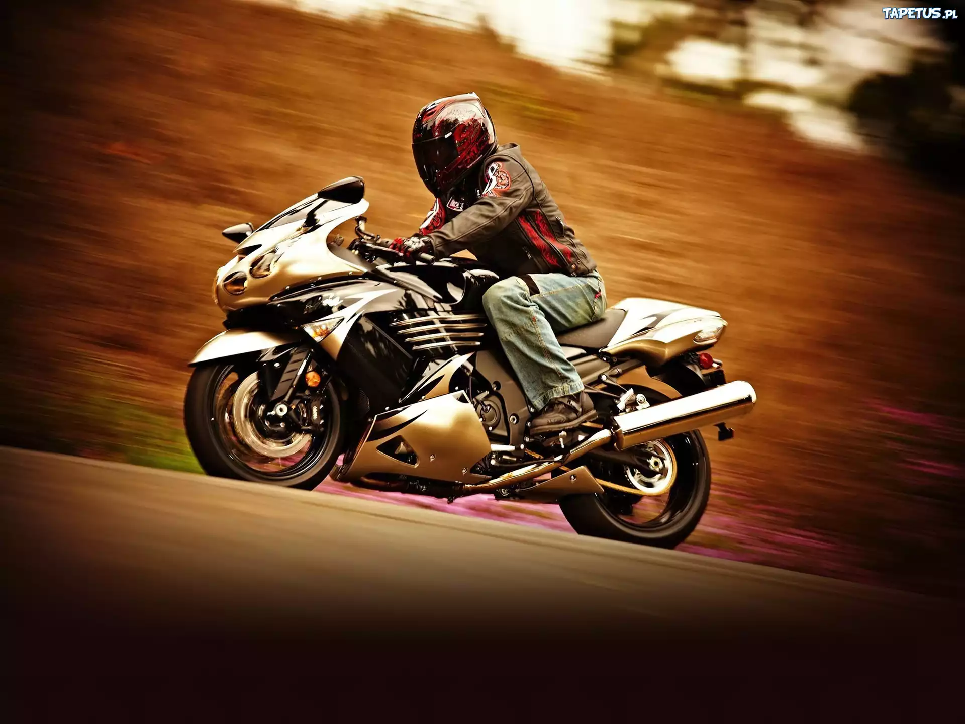 Kawasaki Ninja ZX-14, Turystyk