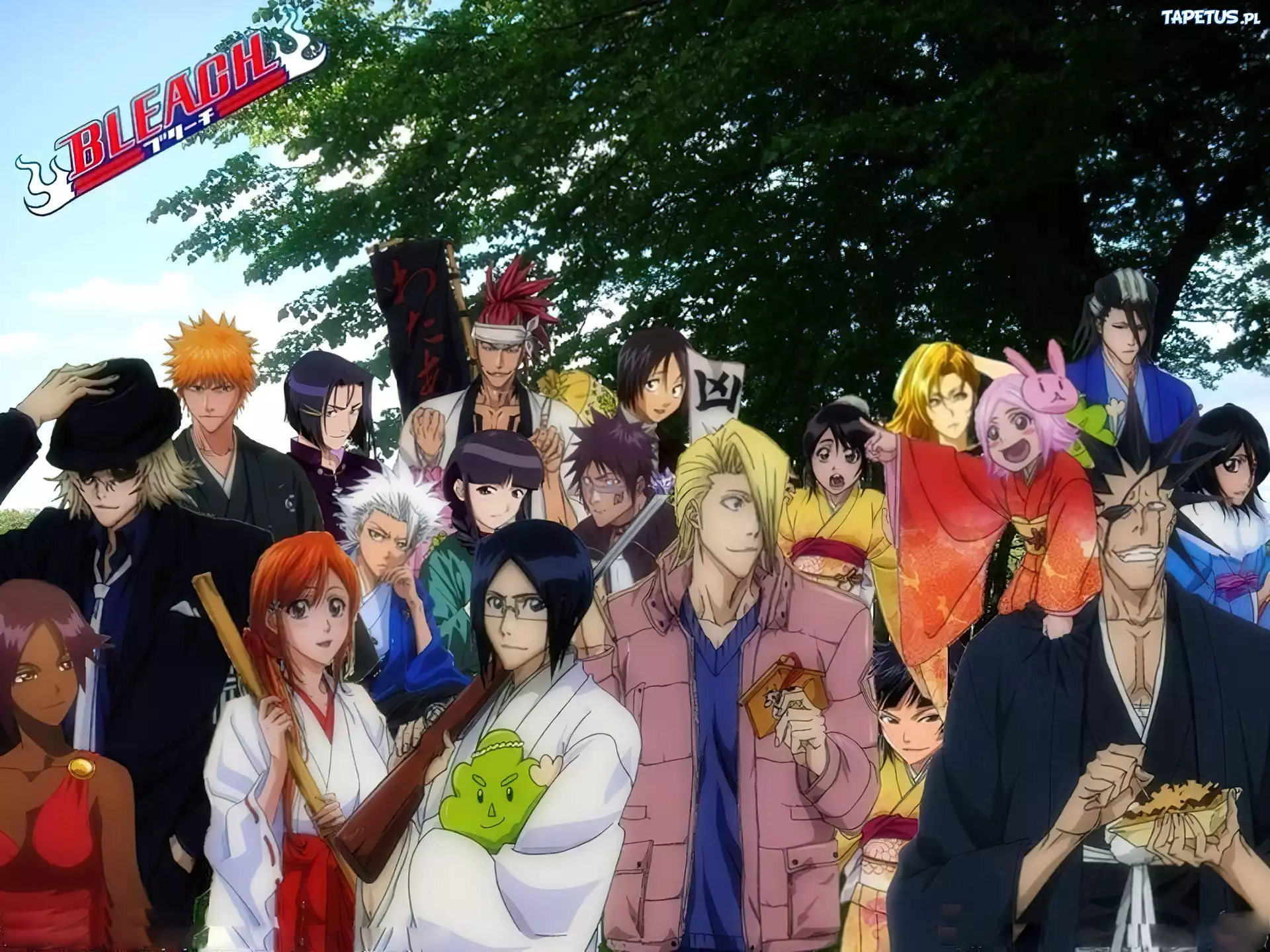 Bohaterowie, Bleach