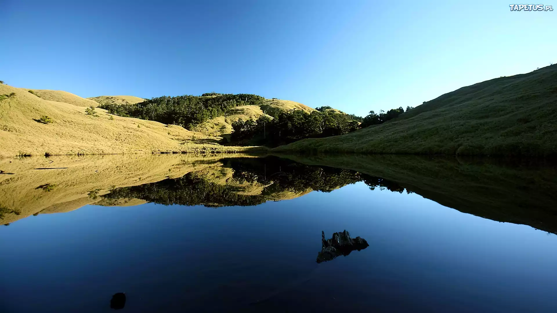Lustrzana, Tafla, Wody