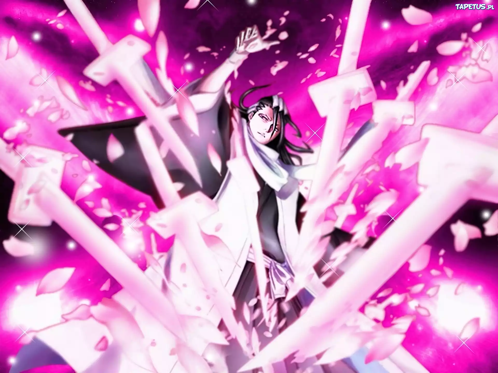Kuchiki, Byakuya, Miecze