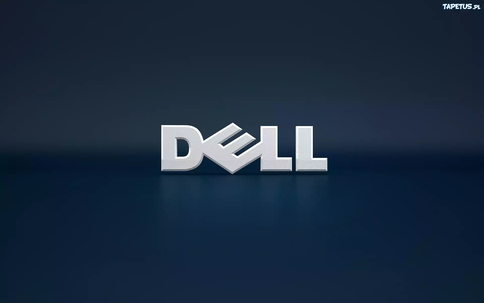 Producent, Dell