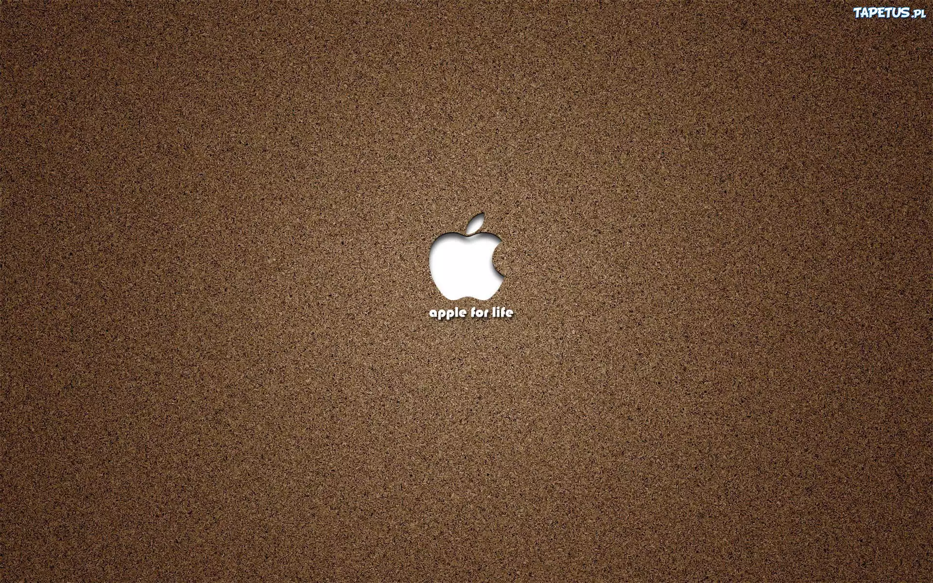Podzespoły, Apple